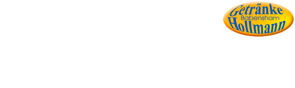 Logo Hollmann